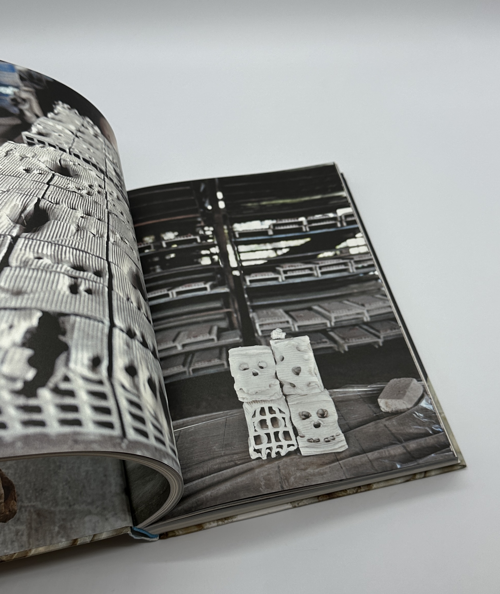 TERRAMARE - 画像 (5)