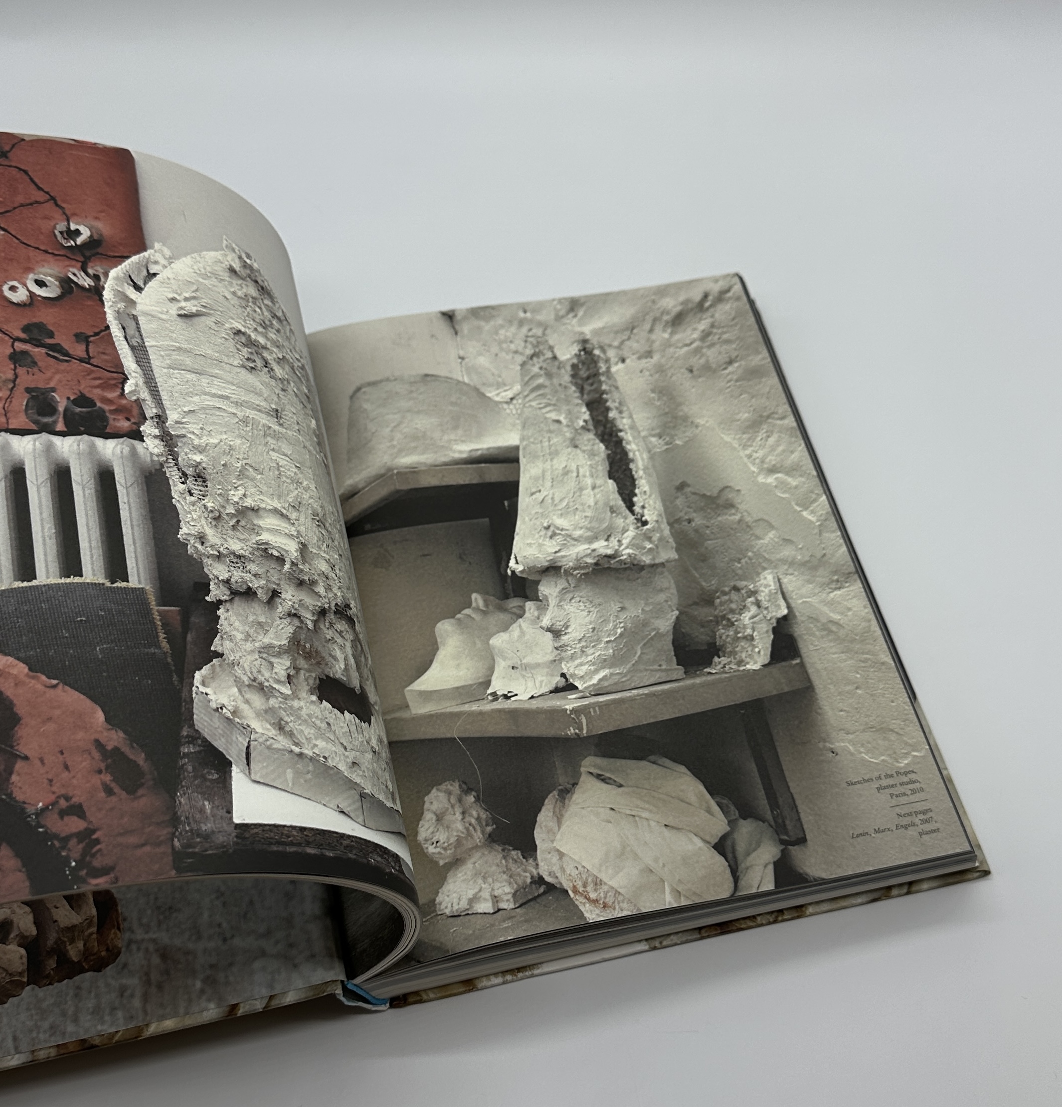 TERRAMARE - 画像 (3)