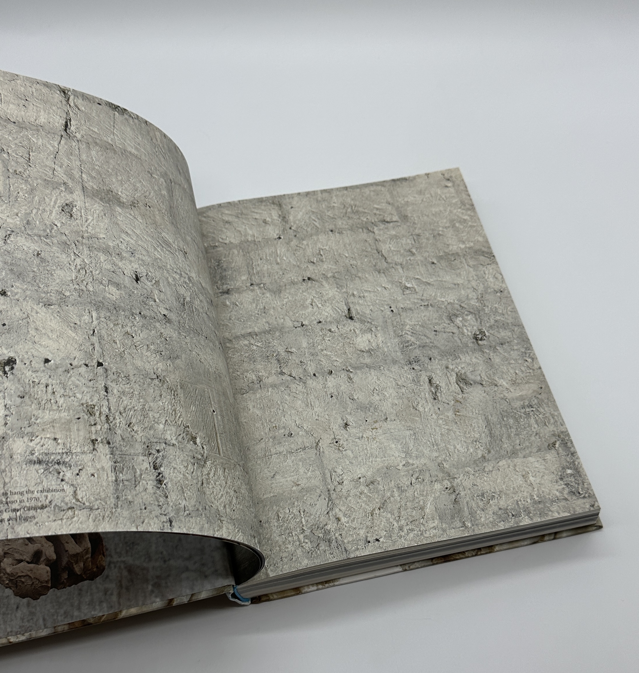 TERRAMARE - 画像 (2)