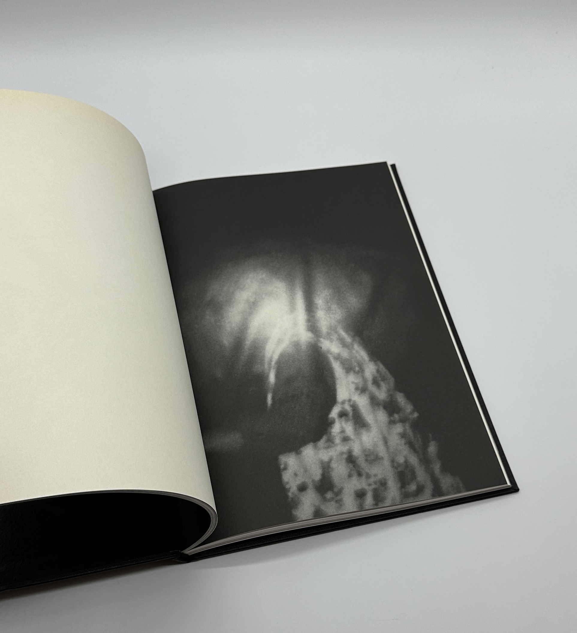 SHADOW FUX - 画像 (5)