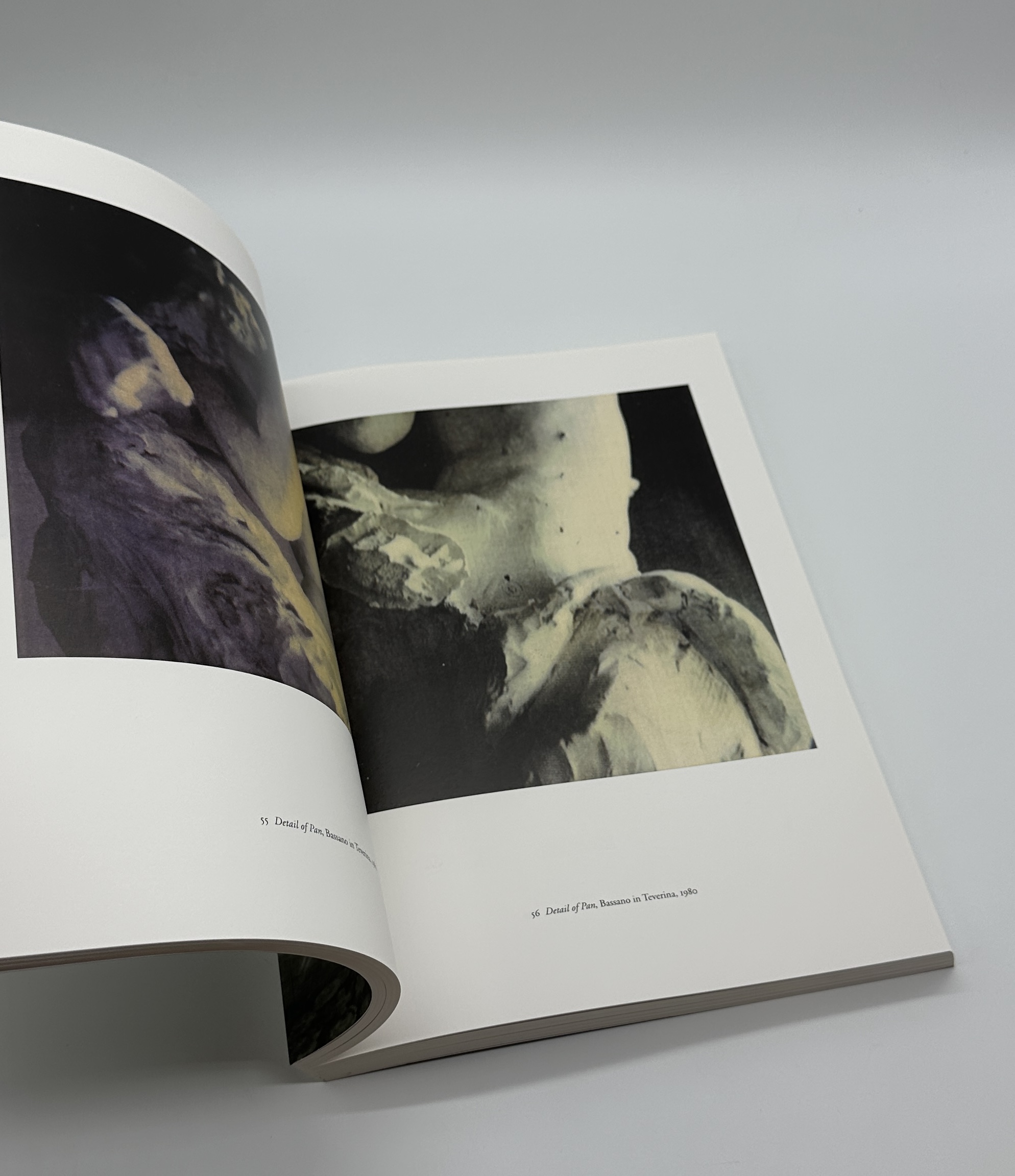 PHOTOGRAPHS 1951-2007 - 画像 (7)