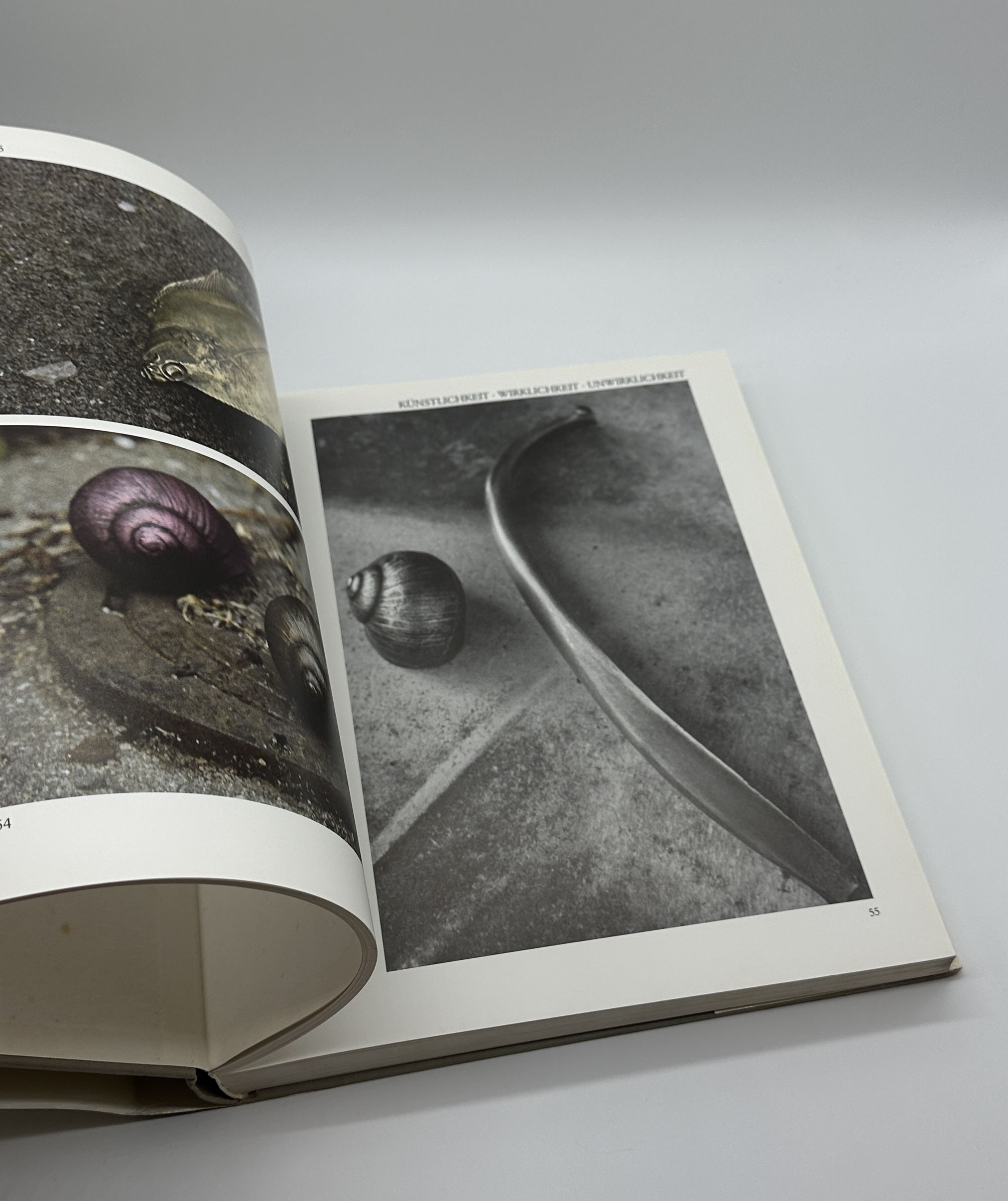 SKULPTURE UND OBJEKTE - 画像 (3)