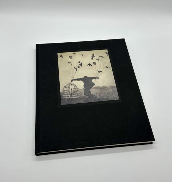 The Architect's Brother