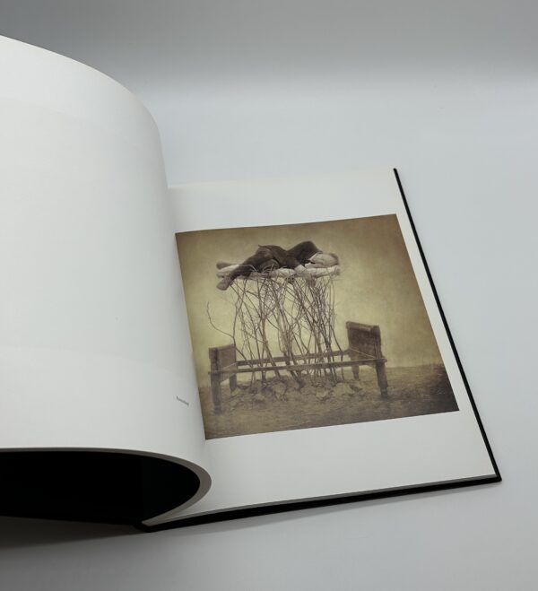 The Architect's Brother