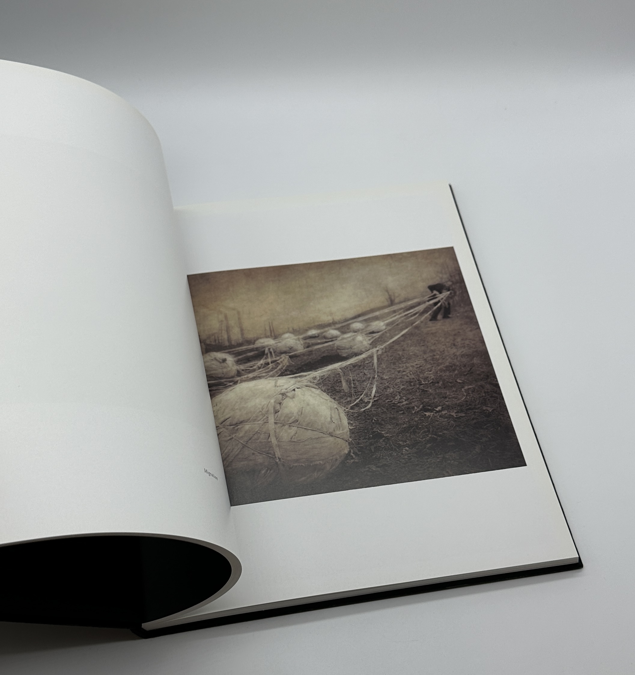 ロバート・パークハリソン The Architect's Brother サイン The Architect's Brother - りーちあーと