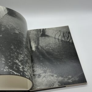 THE HIGH PRIESTESS - 画像 (8)