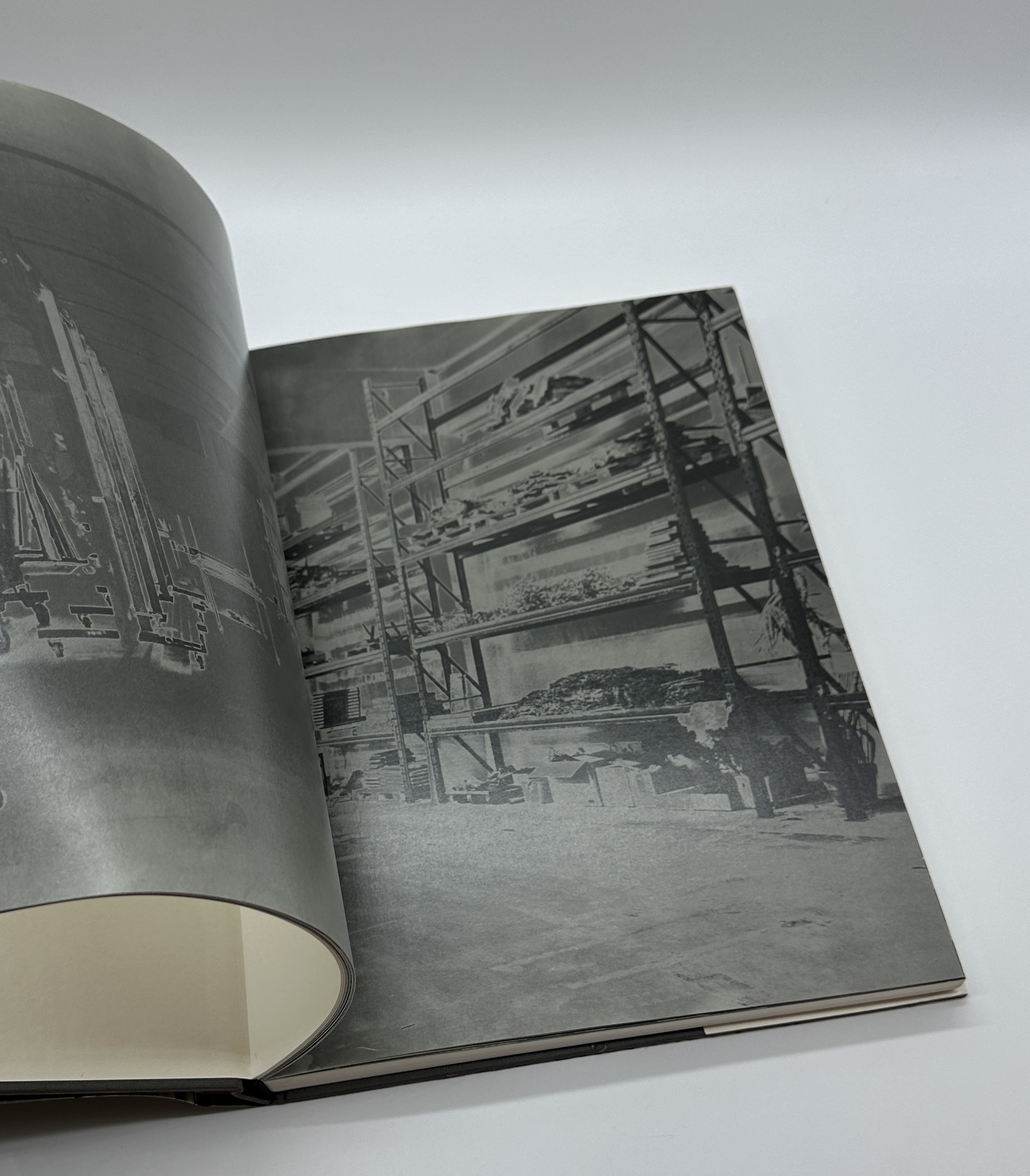 THE HIGH PRIESTESS - 画像 (5)