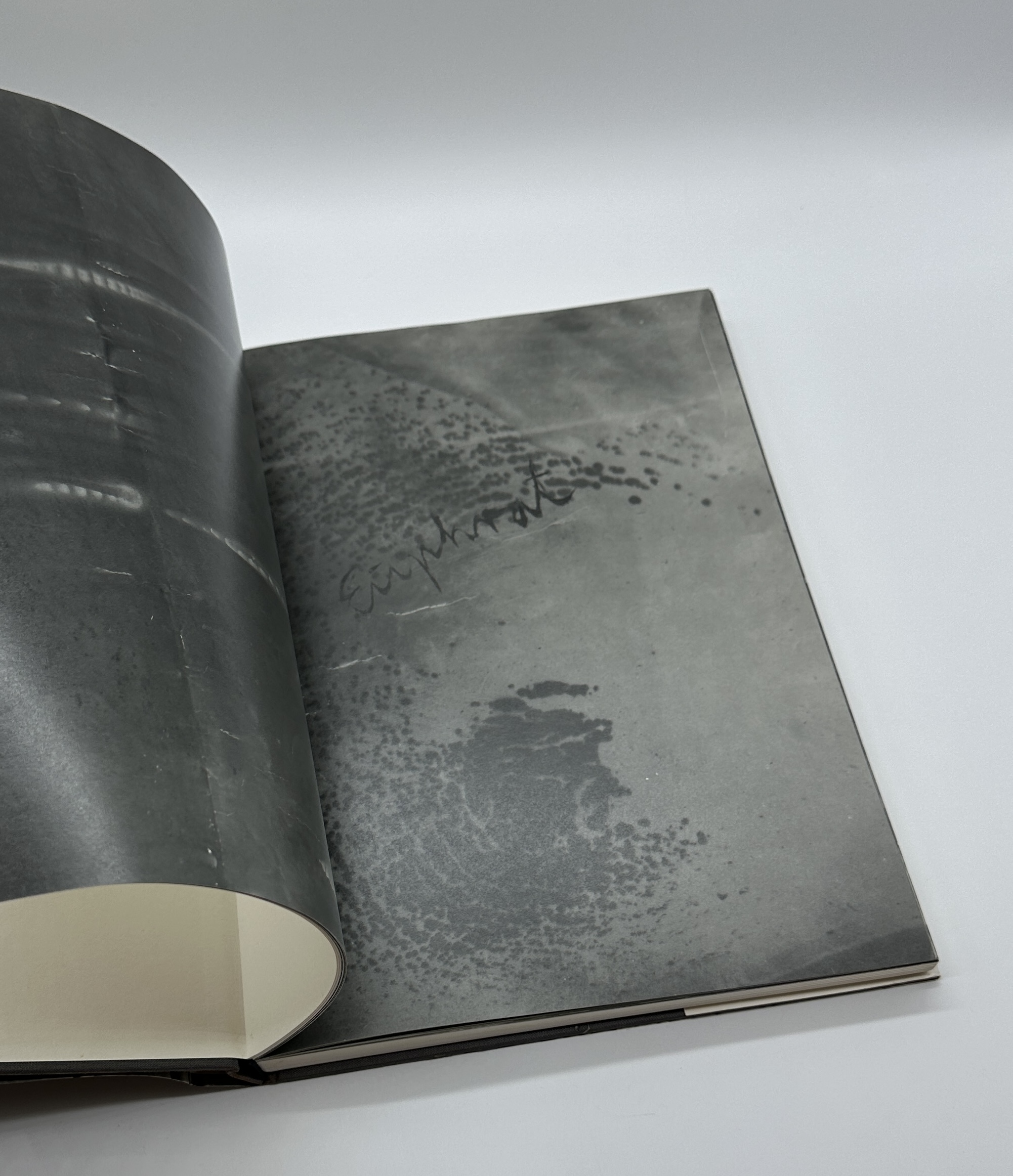 THE HIGH PRIESTESS - 画像 (4)