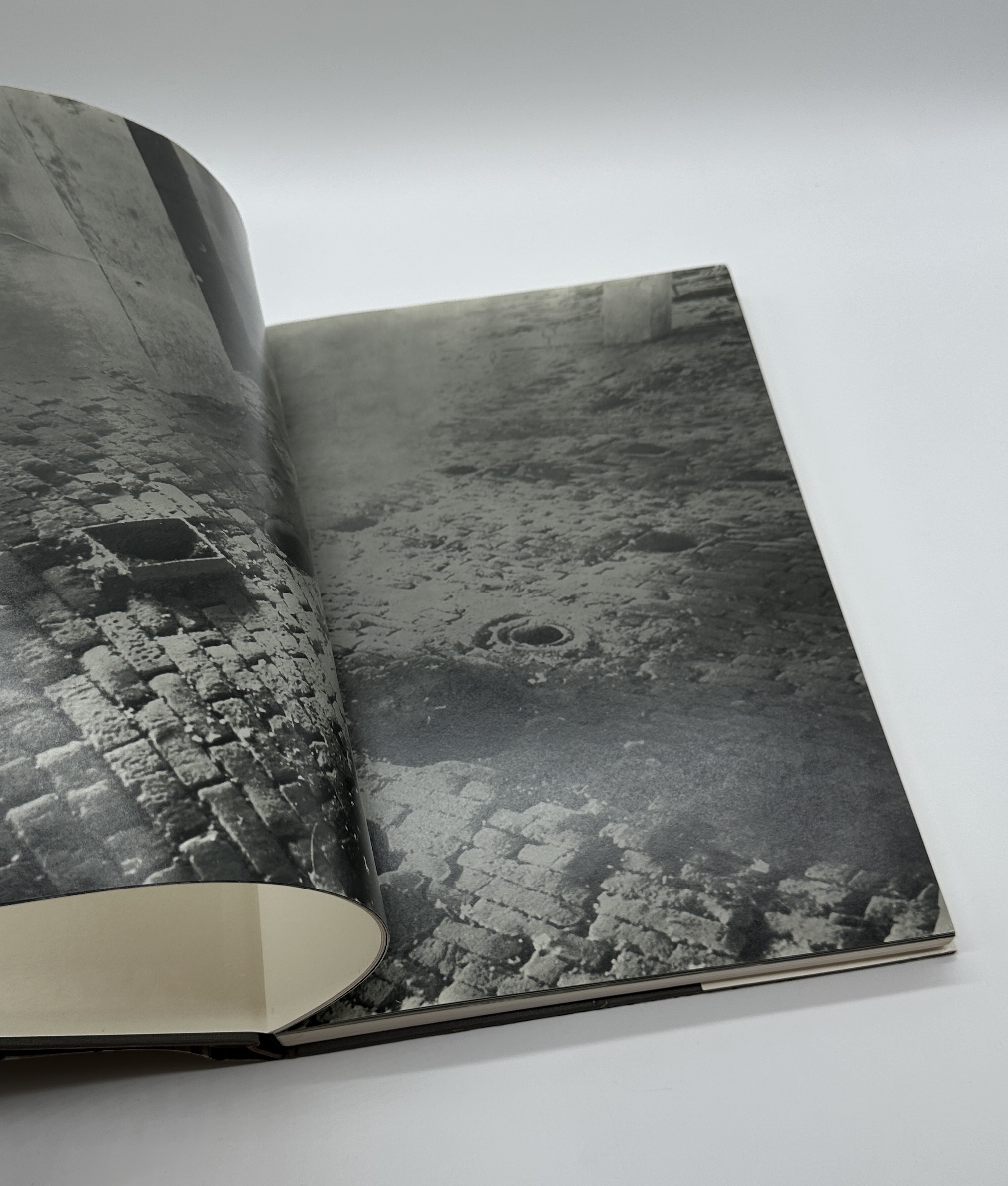 THE HIGH PRIESTESS - 画像 (3)