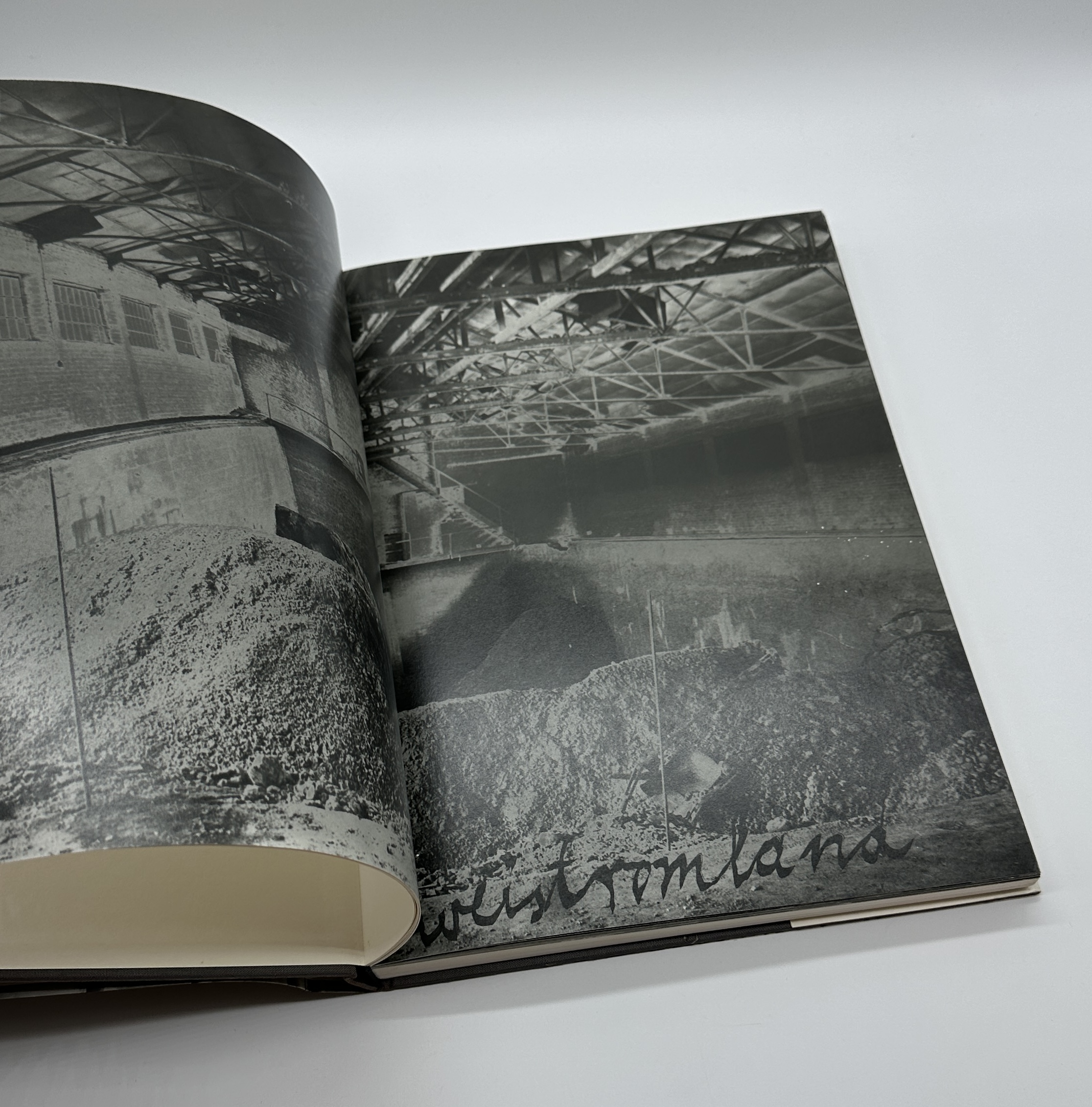 THE HIGH PRIESTESS - 画像 (2)