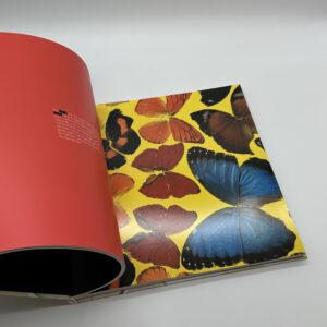 SUPERSTITION - 画像 (5)