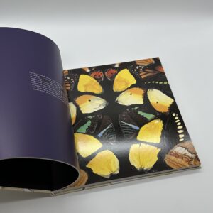 SUPERSTITION - 画像 (3)