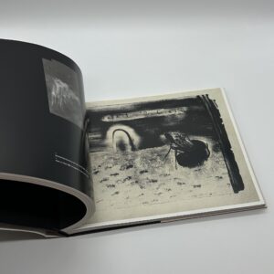 dark splendor - 画像 (6)