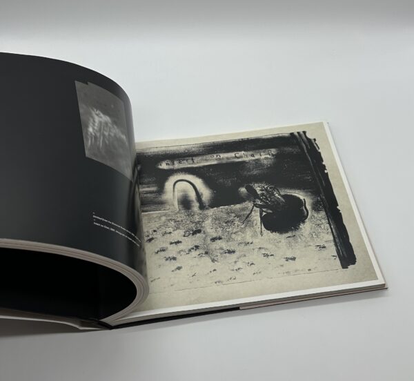 dark splendor - りーちあーと