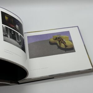 dark splendor - 画像 (2)