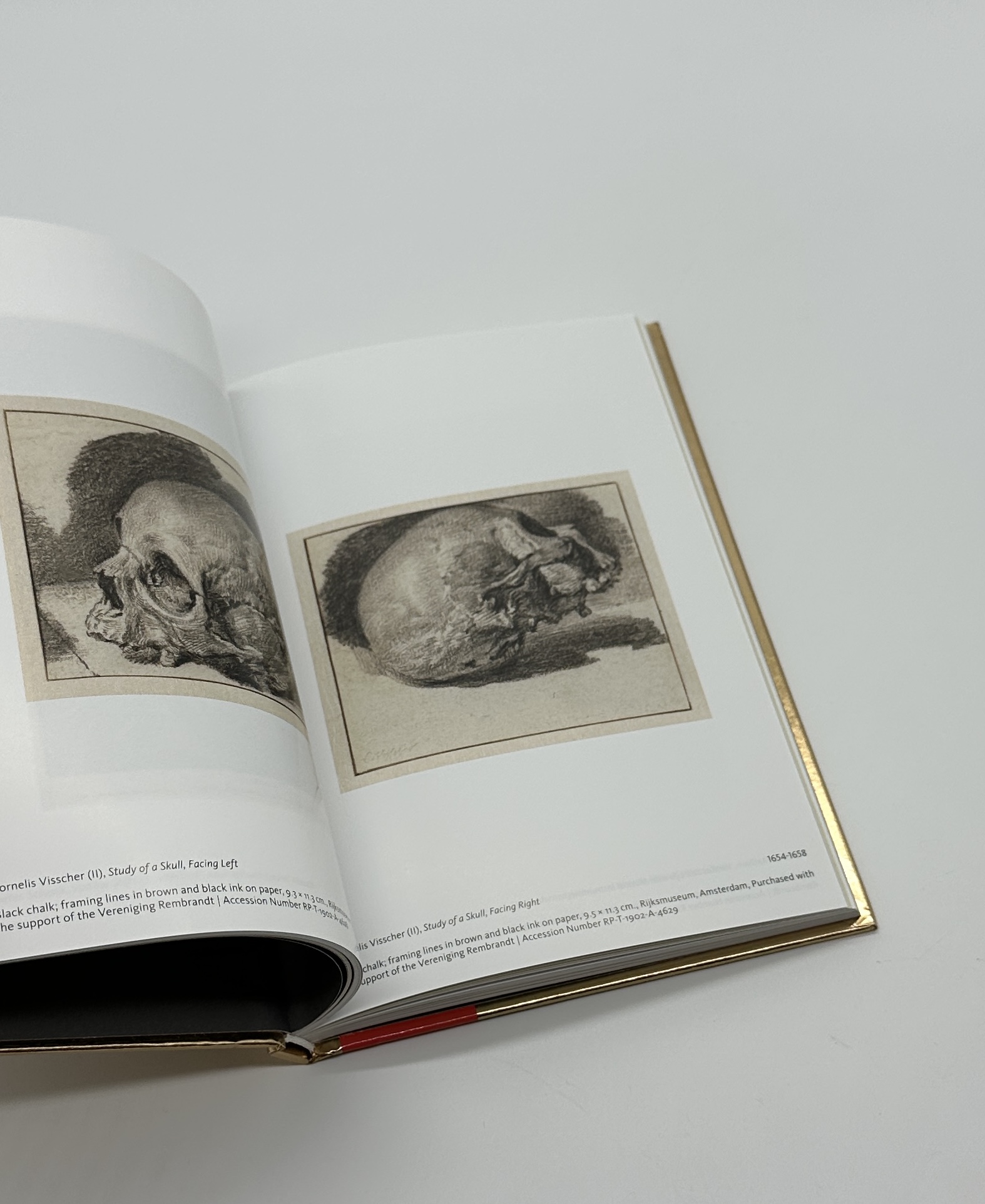 VANITAS - 画像 (6)