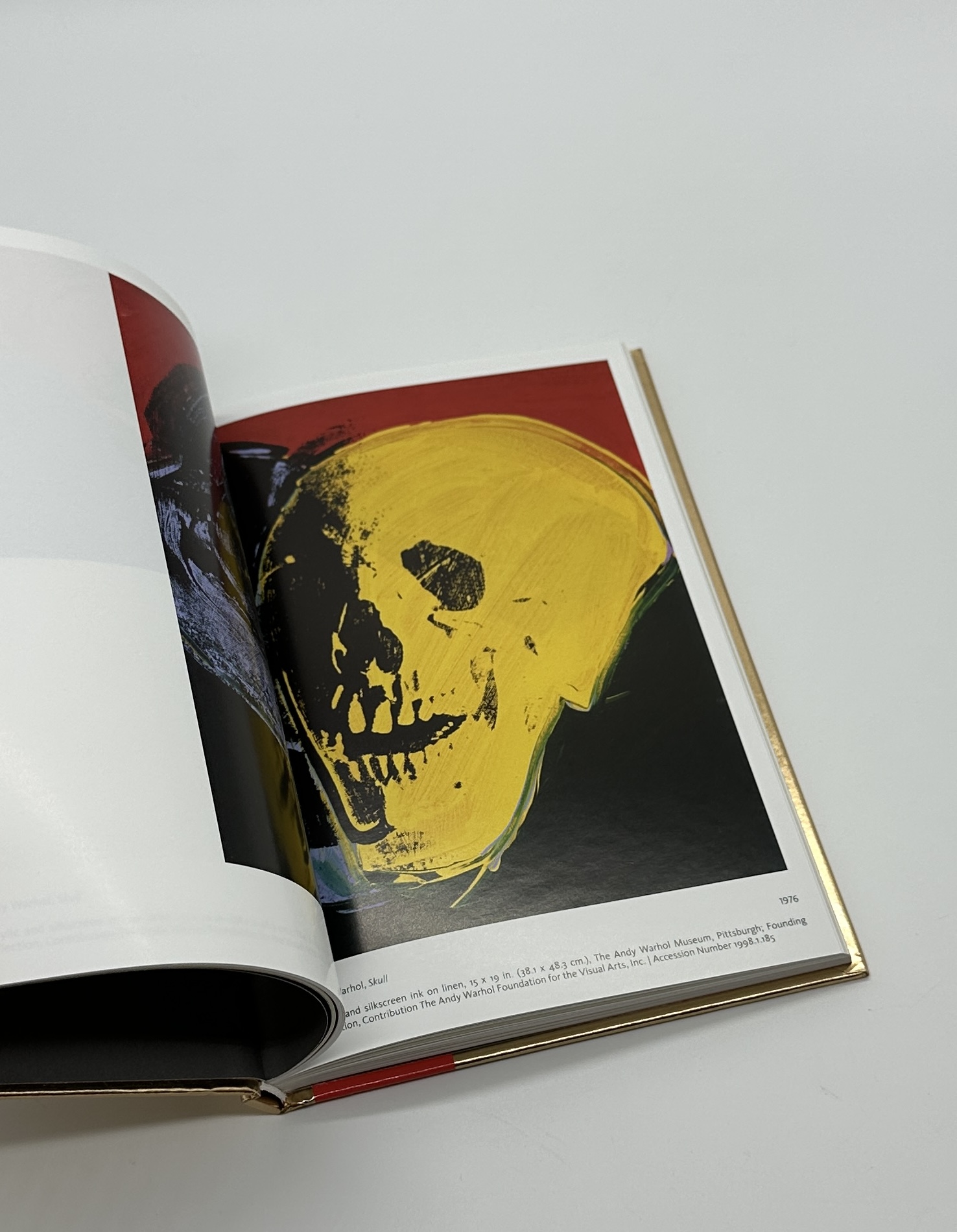 VANITAS - 画像 (5)