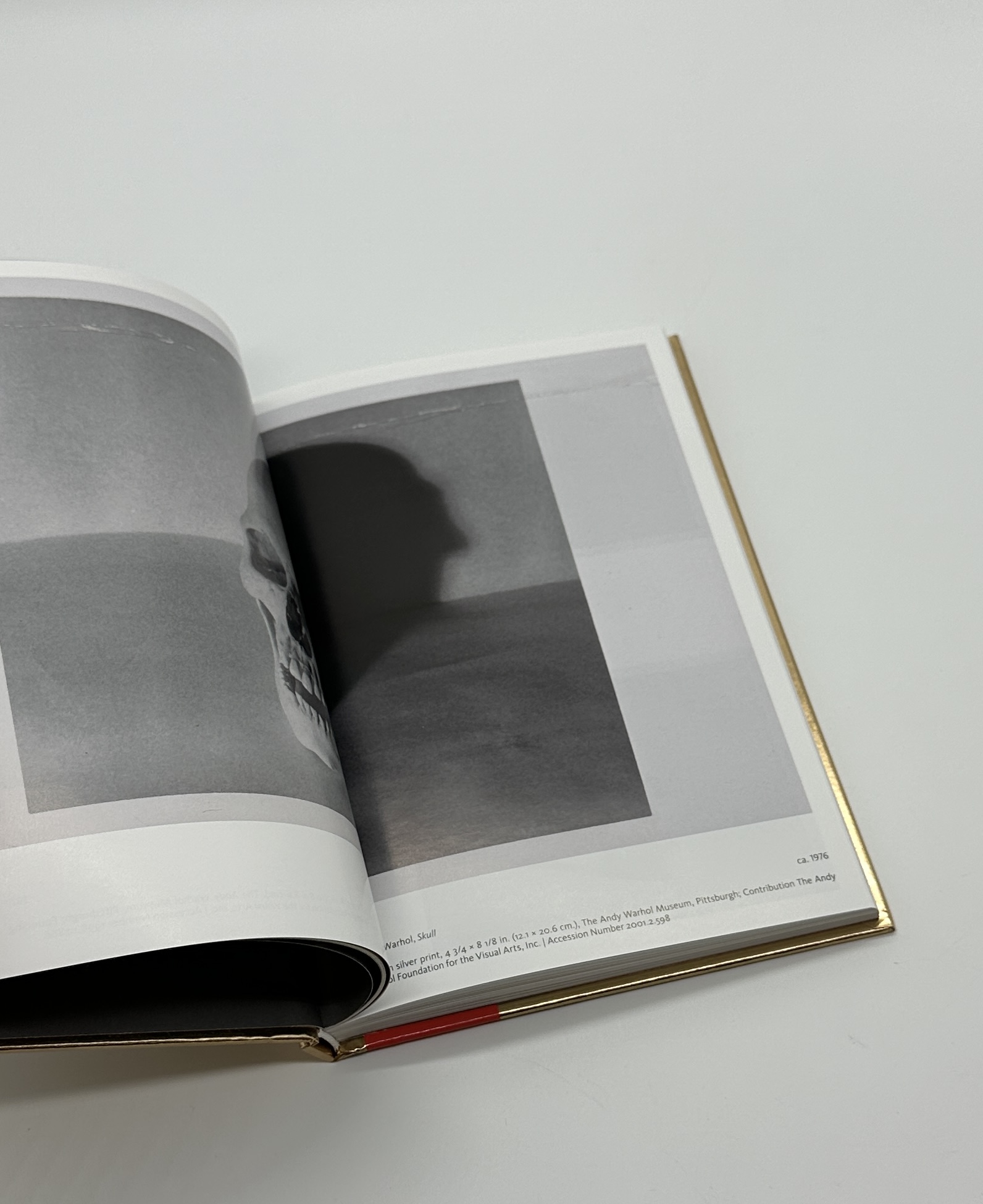 VANITAS - 画像 (3)