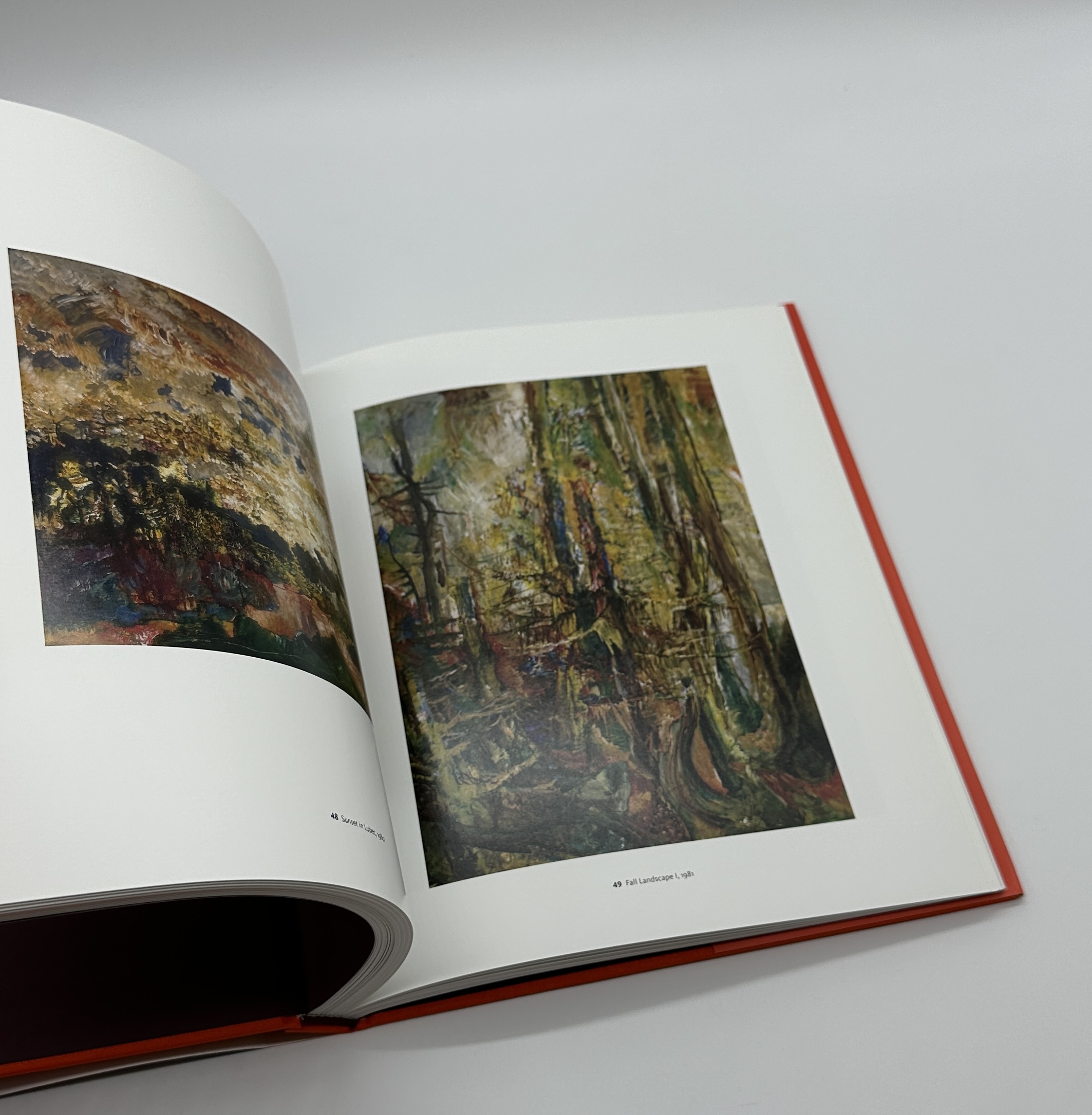 Modern Mystic The Art of Hyman Bloom - 画像 (3)