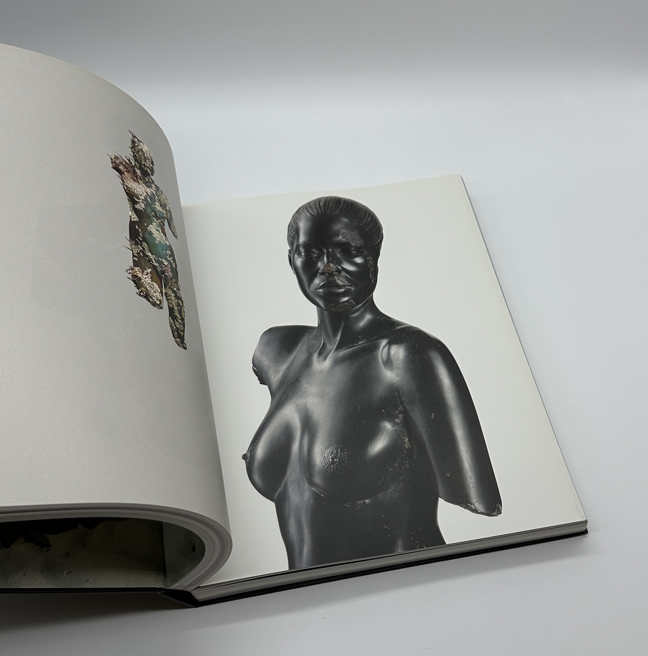 Treasures from the WRECK of the Unbelievable. - 画像 (10)