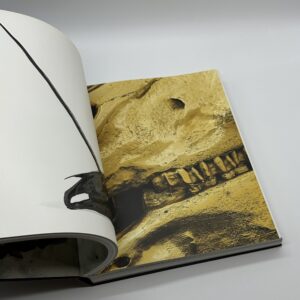 Treasures from the WRECK of the Unbelievable. - 画像 (8)