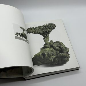 Treasures from the WRECK of the Unbelievable. - 画像 (6)