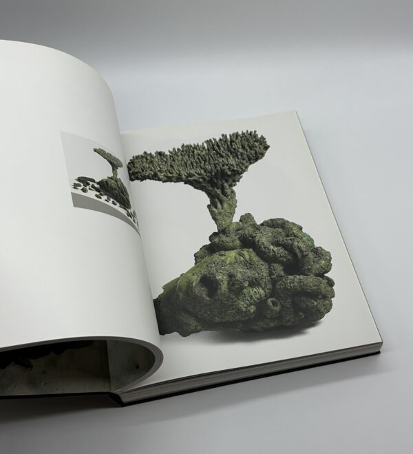 Treasures from the WRECK of the Unbelievable.