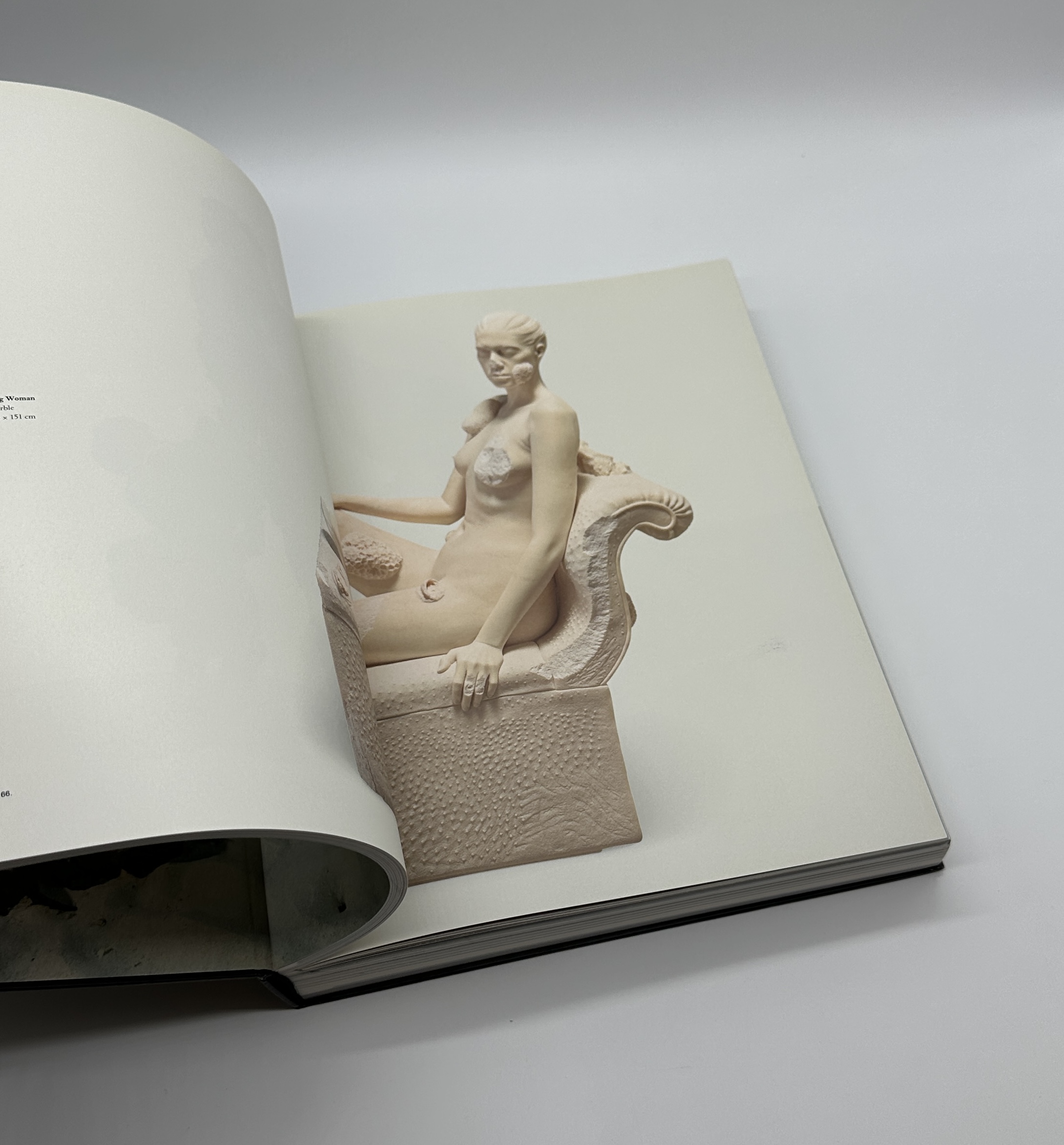 Treasures from the WRECK of the Unbelievable. - 画像 (5)