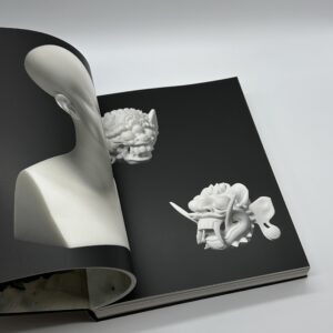 Treasures from the WRECK of the Unbelievable. - 画像 (4)