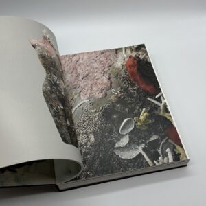 Treasures from the WRECK of the Unbelievable. - 画像 (3)