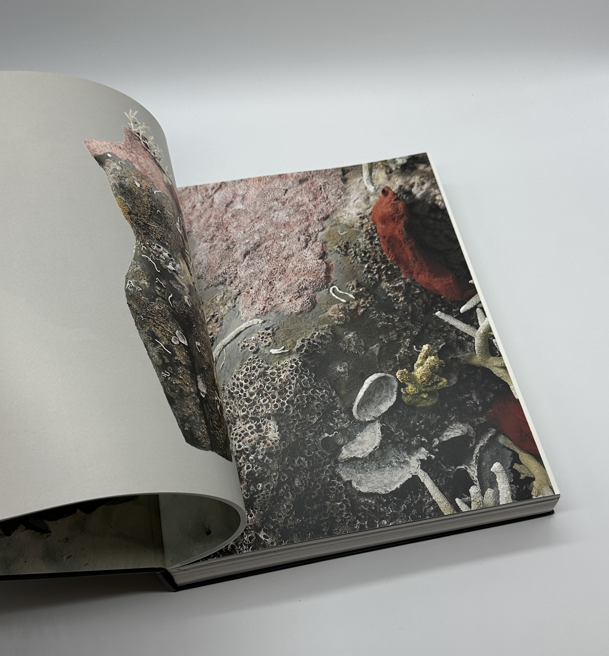 Treasures from the WRECK of the Unbelievable. - 画像 (3)