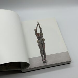 Treasures from the WRECK of the Unbelievable. - 画像 (2)