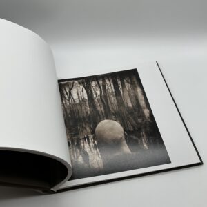 Ghostlight - 画像 (7)