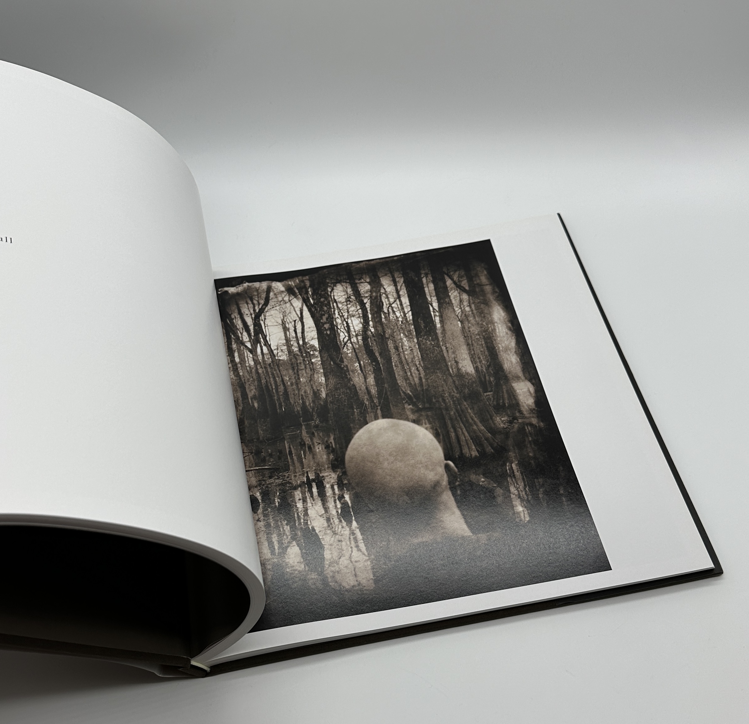 Ghostlight - 画像 (7)