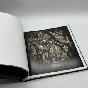 Ghostlight - 画像 (5)