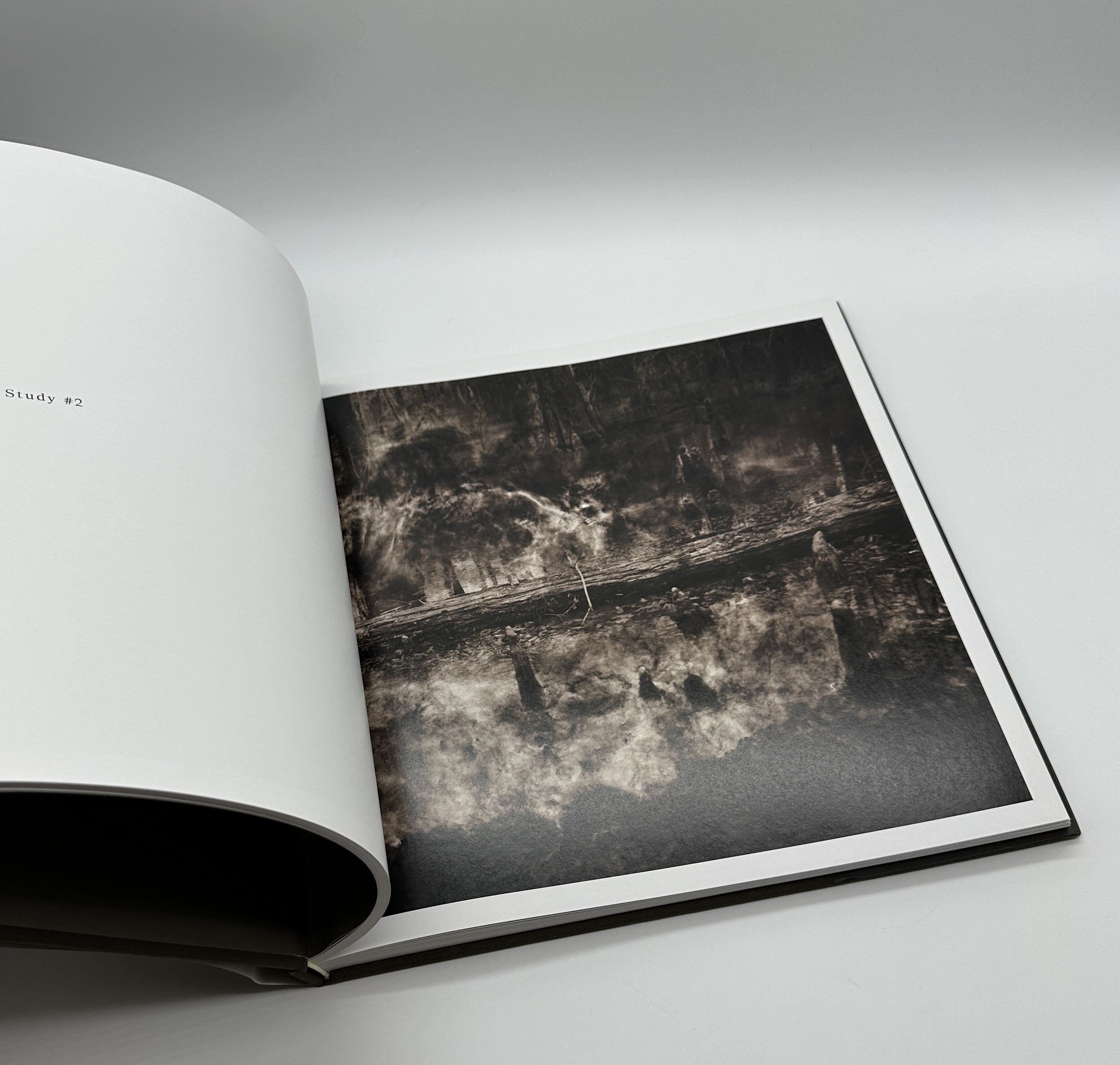 Ghostlight - 画像 (4)