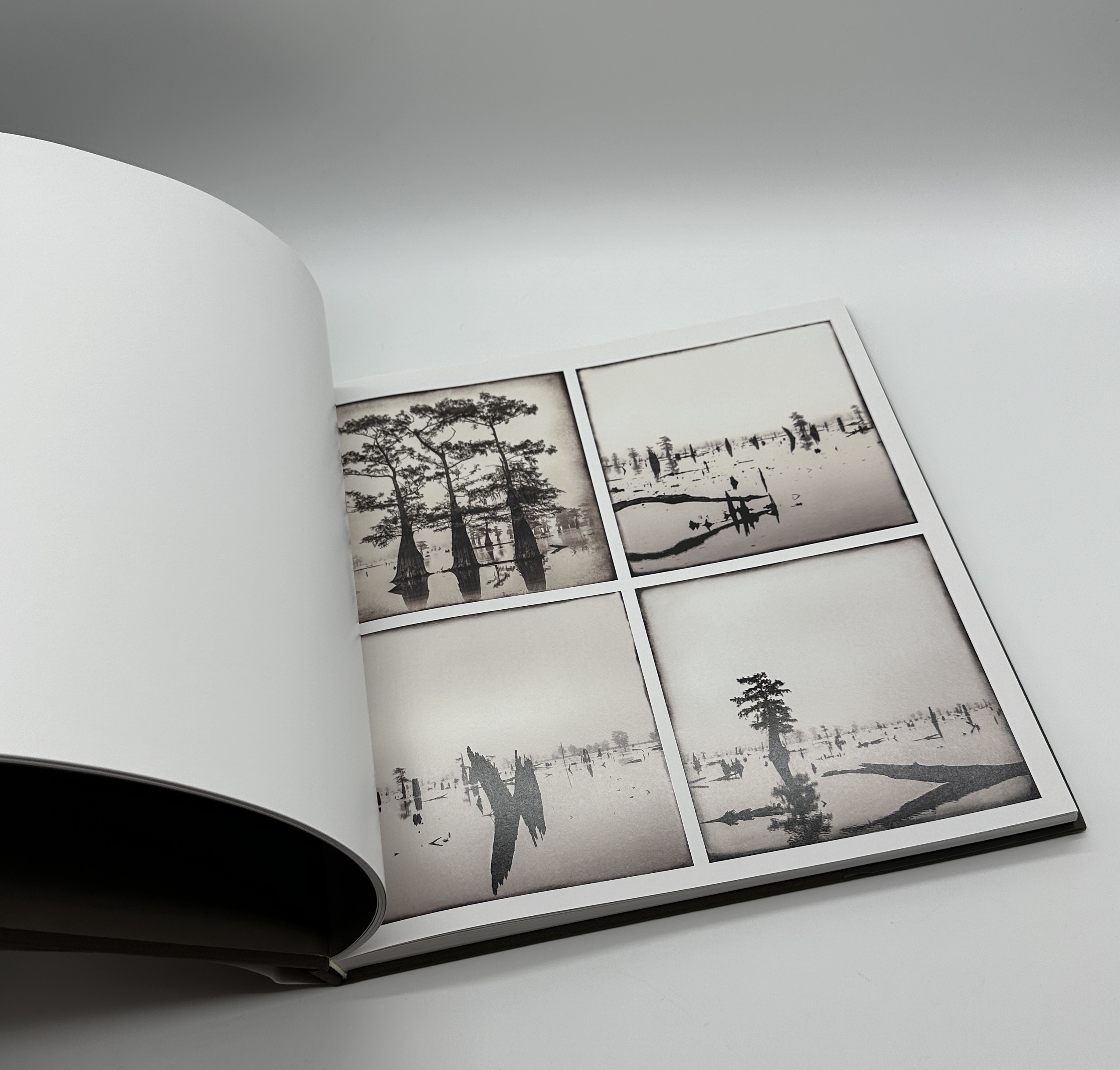 Ghostlight - 画像 (3)