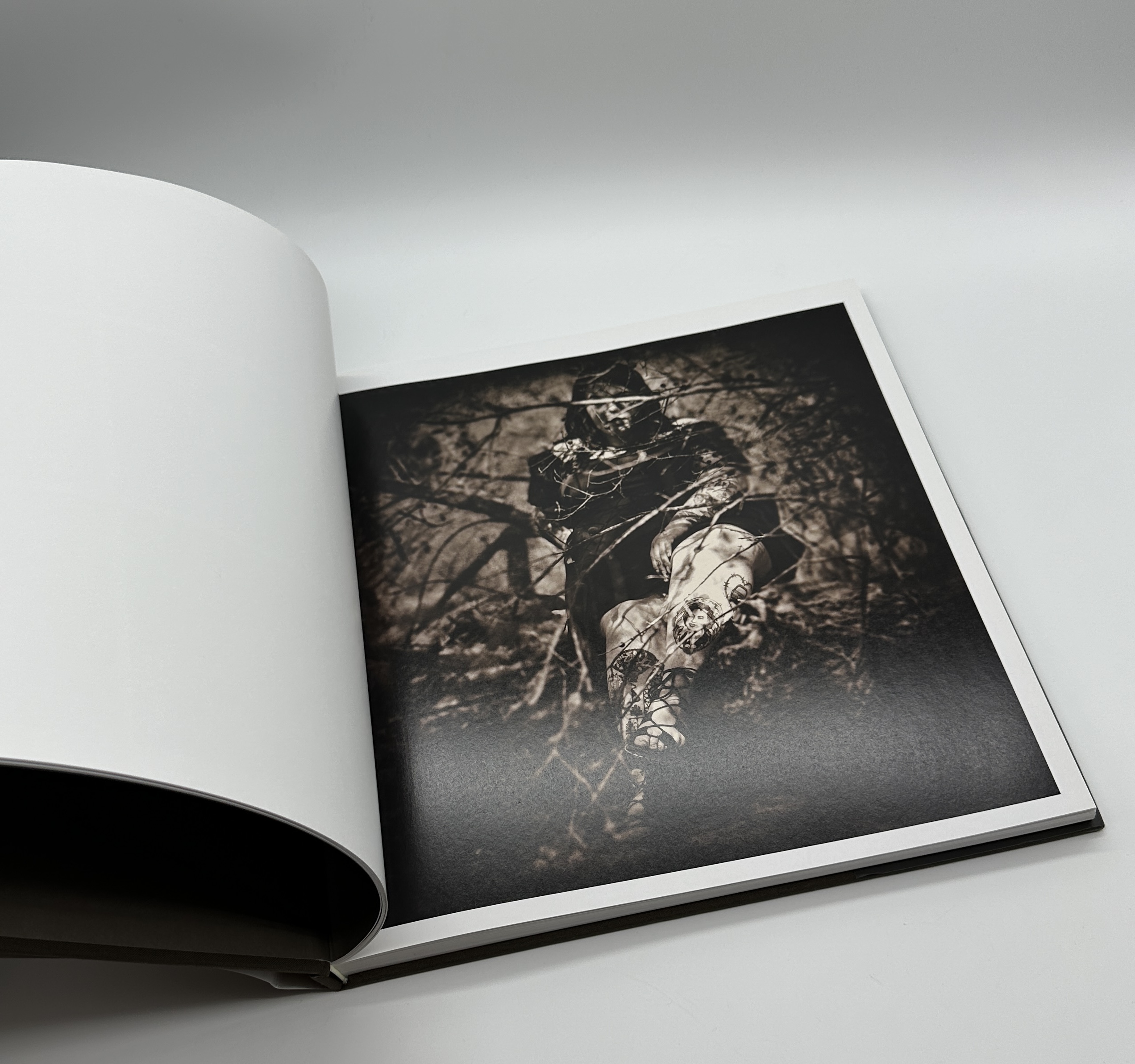 Ghostlight - 画像 (2)