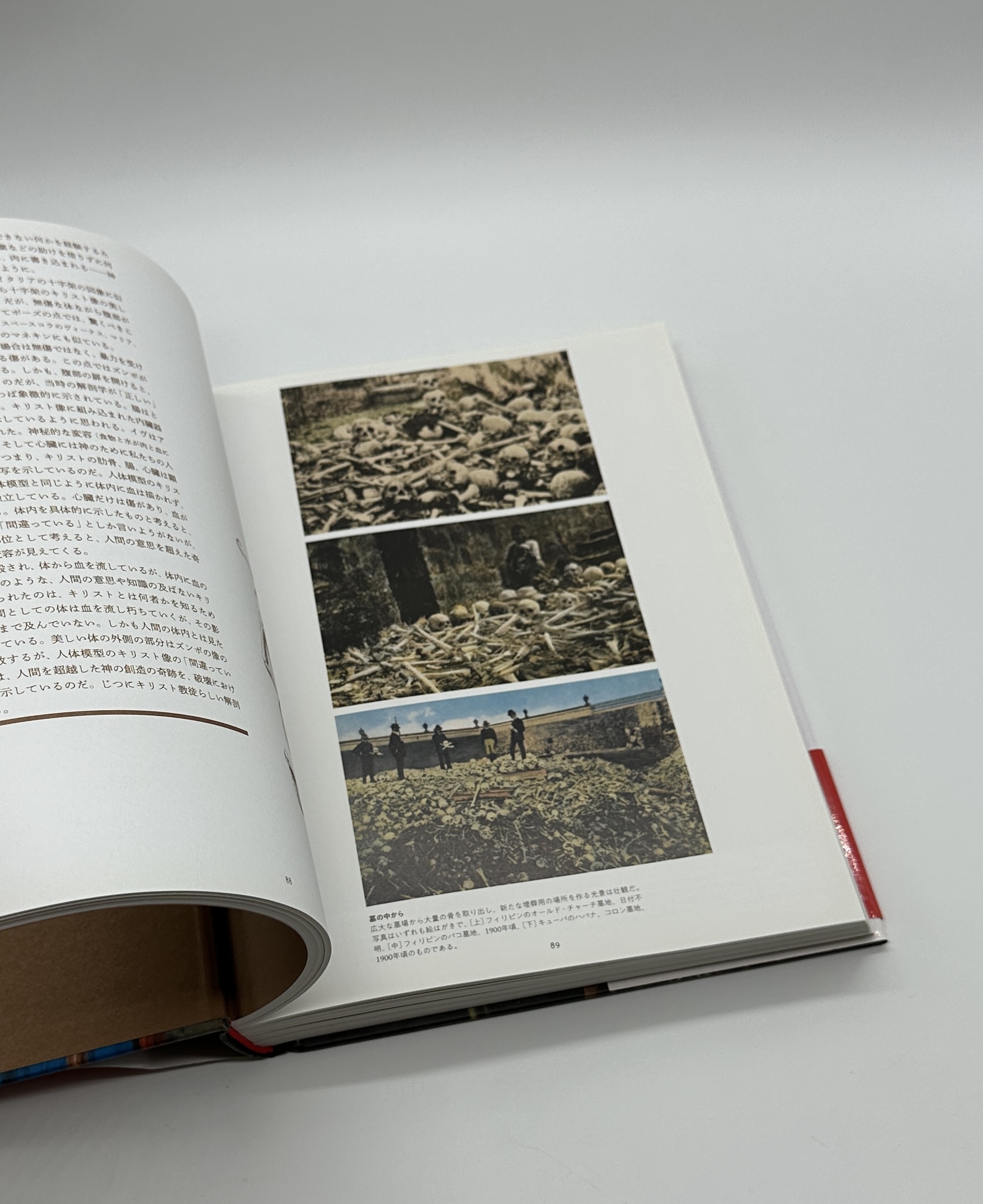 DEATH 死の美術大全　8000年のメメント・モリ - 画像 (5)