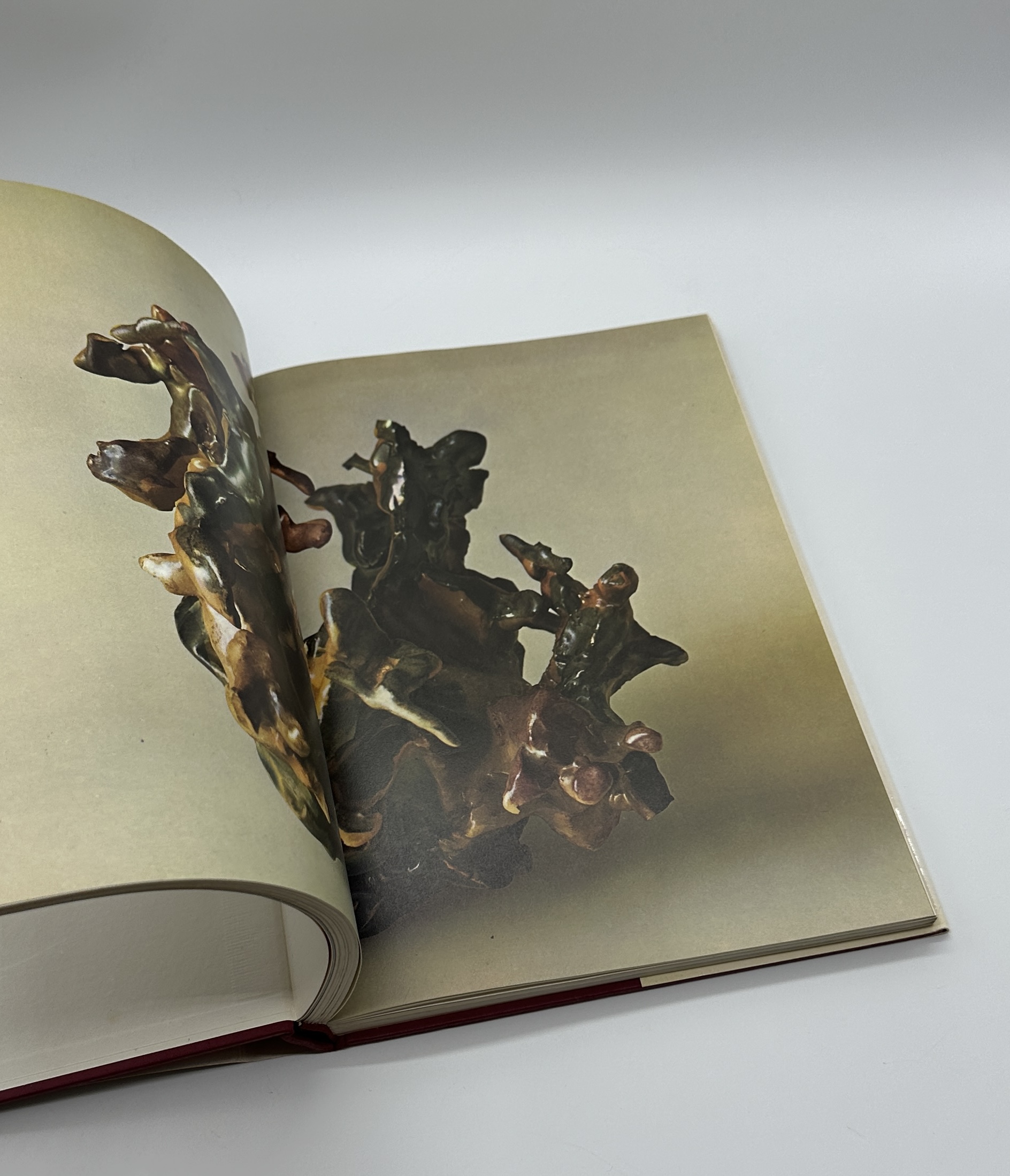 LUCIO FONTANA - 画像 (7)