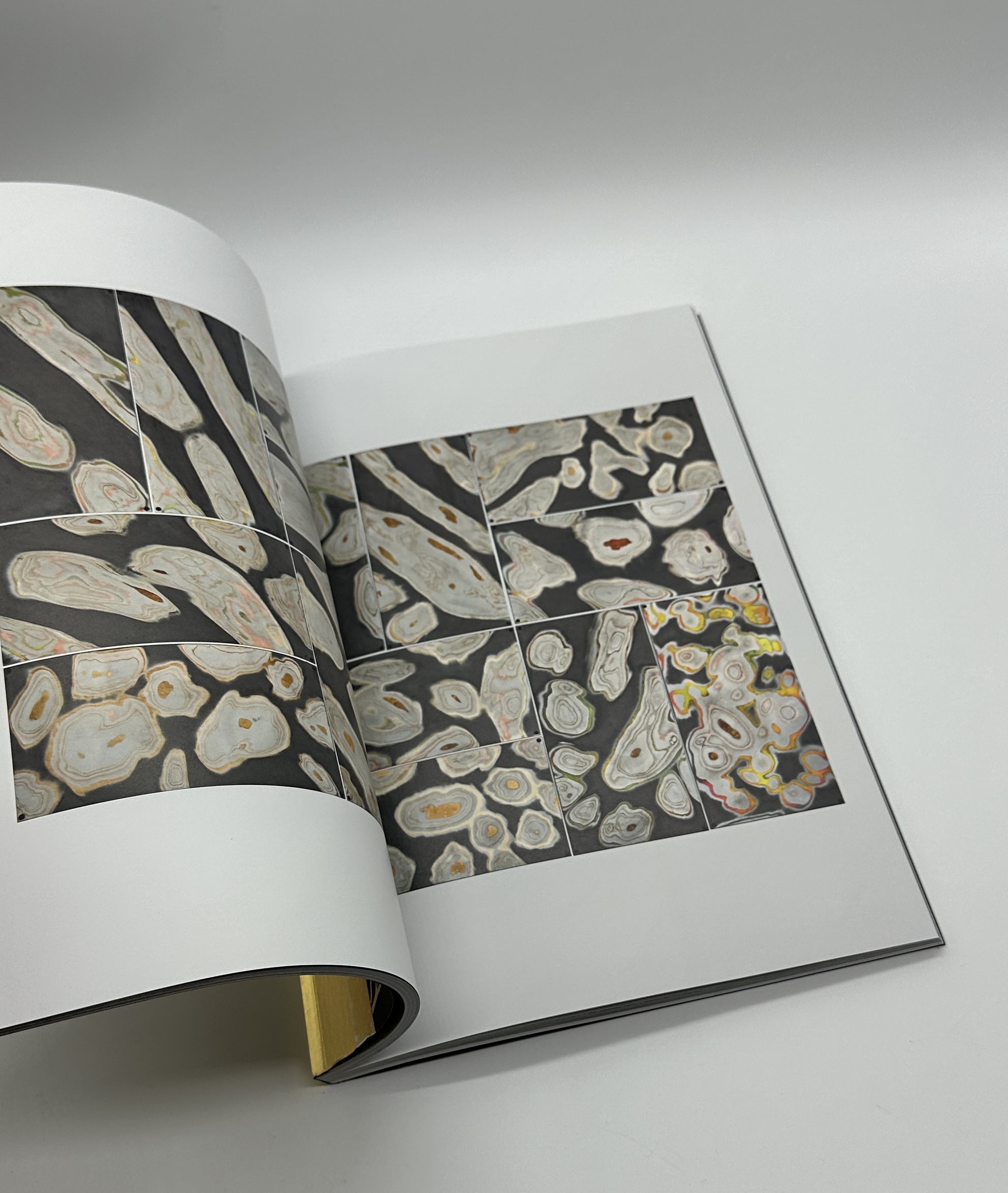 FABRICA - 画像 (6)