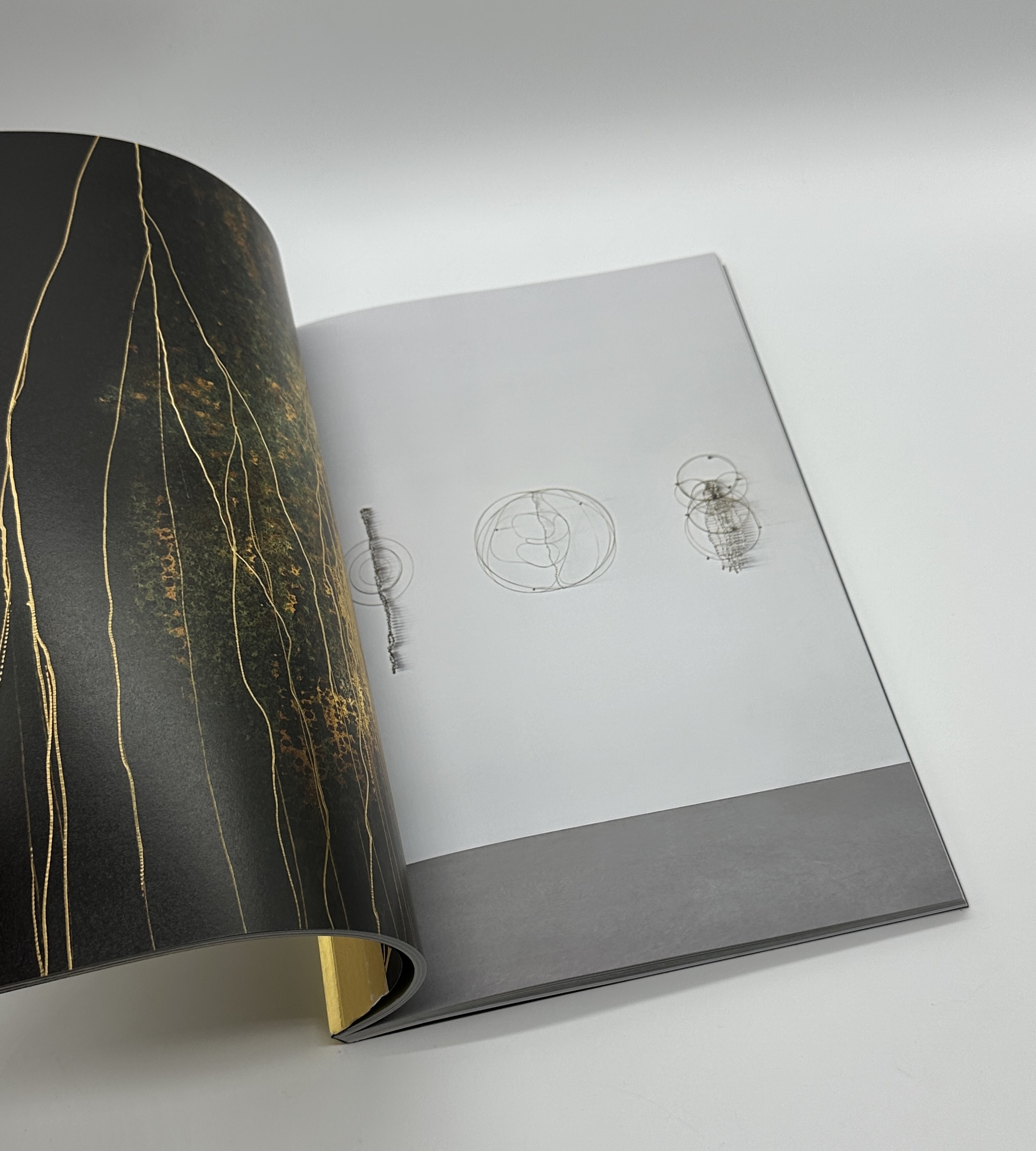 FABRICA - 画像 (5)