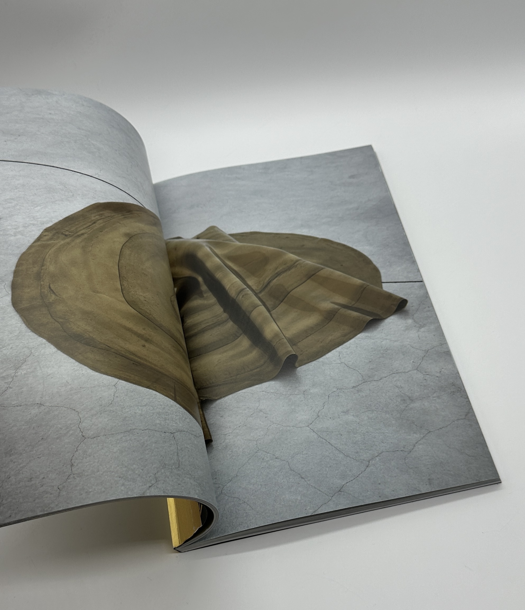 FABRICA - 画像 (4)