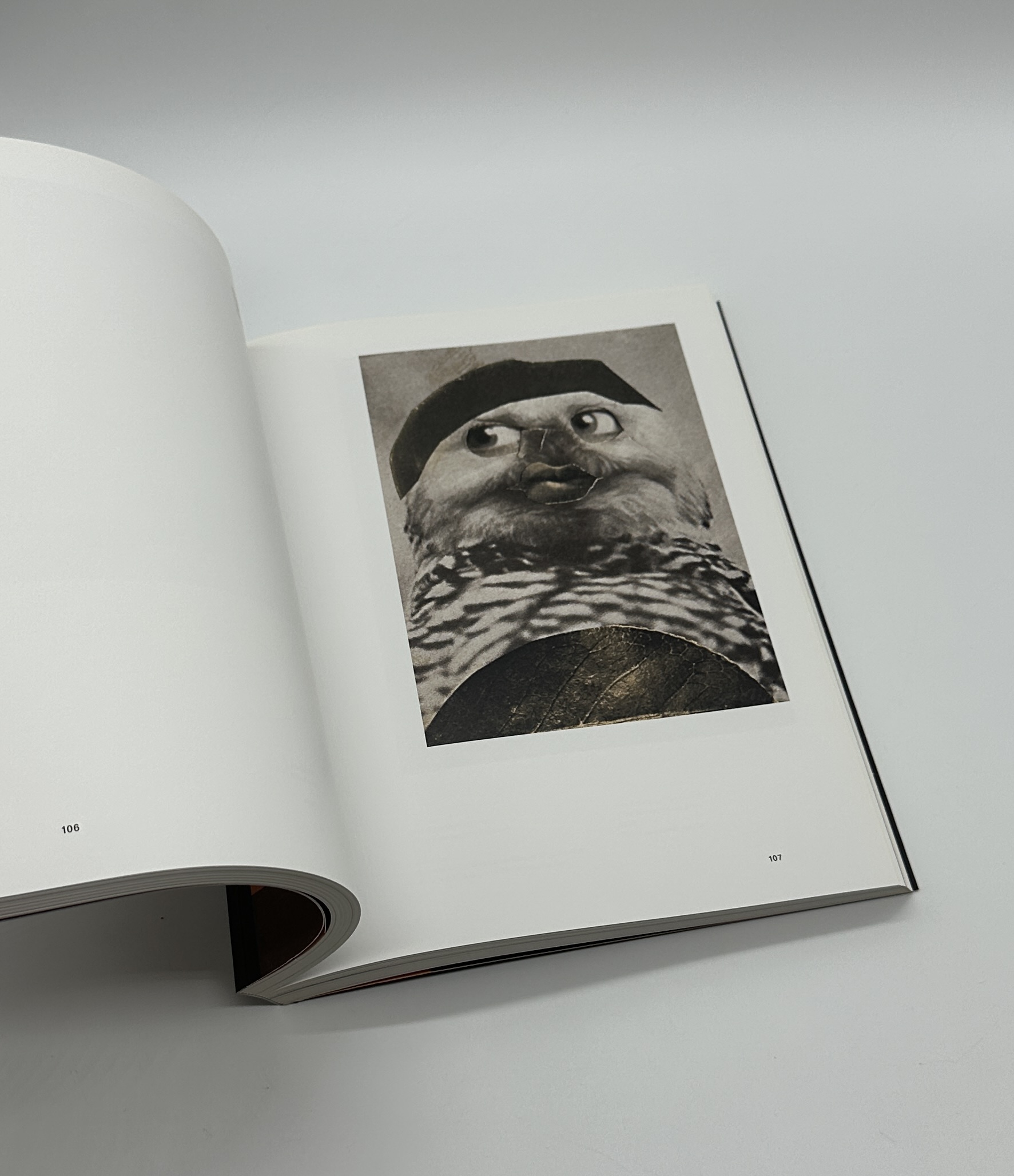 Hannah Hoch - 画像 (6)