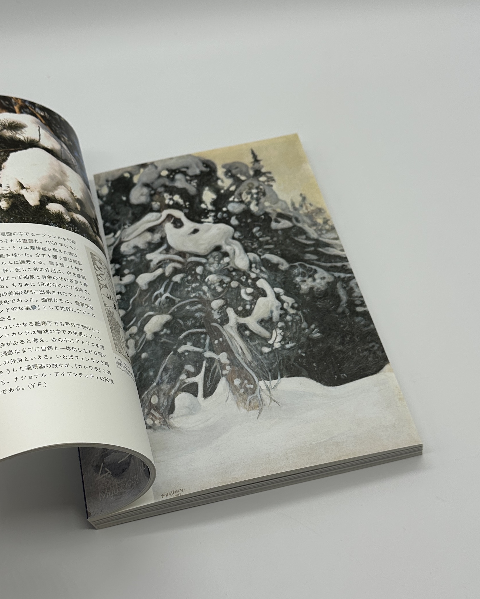 The Essence of Finnish Design and Culture　フィンランドのくらしとデザイン - 画像 (5)