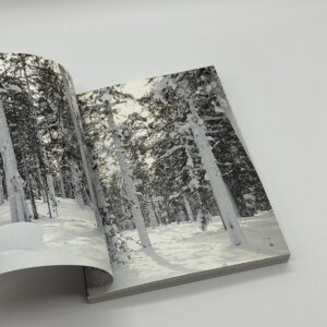 The Essence of Finnish Design and Culture　フィンランドのくらしとデザイン - 画像 (3)