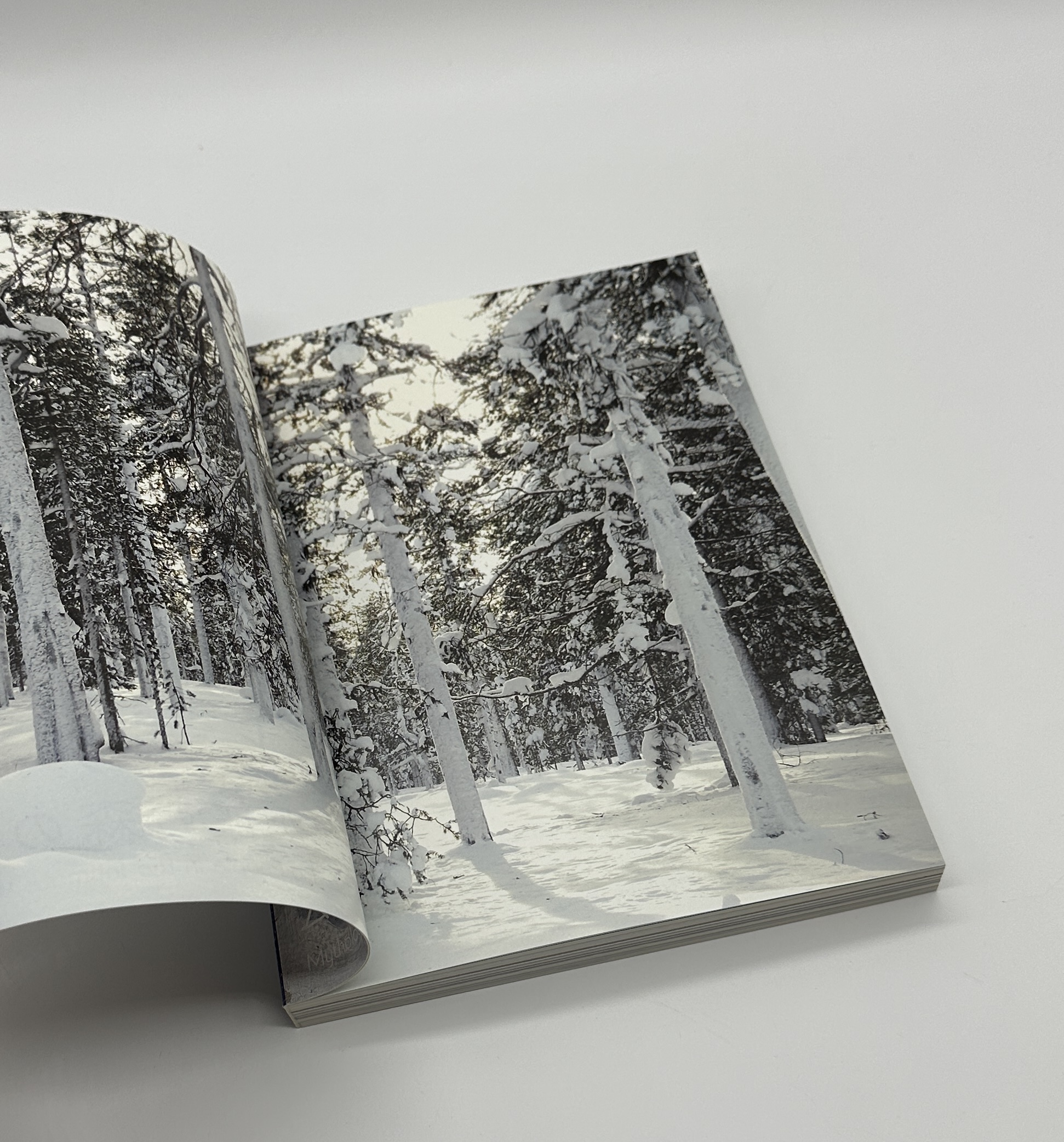 The Essence of Finnish Design and Culture　フィンランドのくらしとデザイン - 画像 (3)