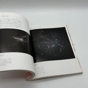 Visual Complexity Mapping Patterns of Information　ビジュアル・コンプレキシティ　情報パターンのマッピング - 画像 (5)