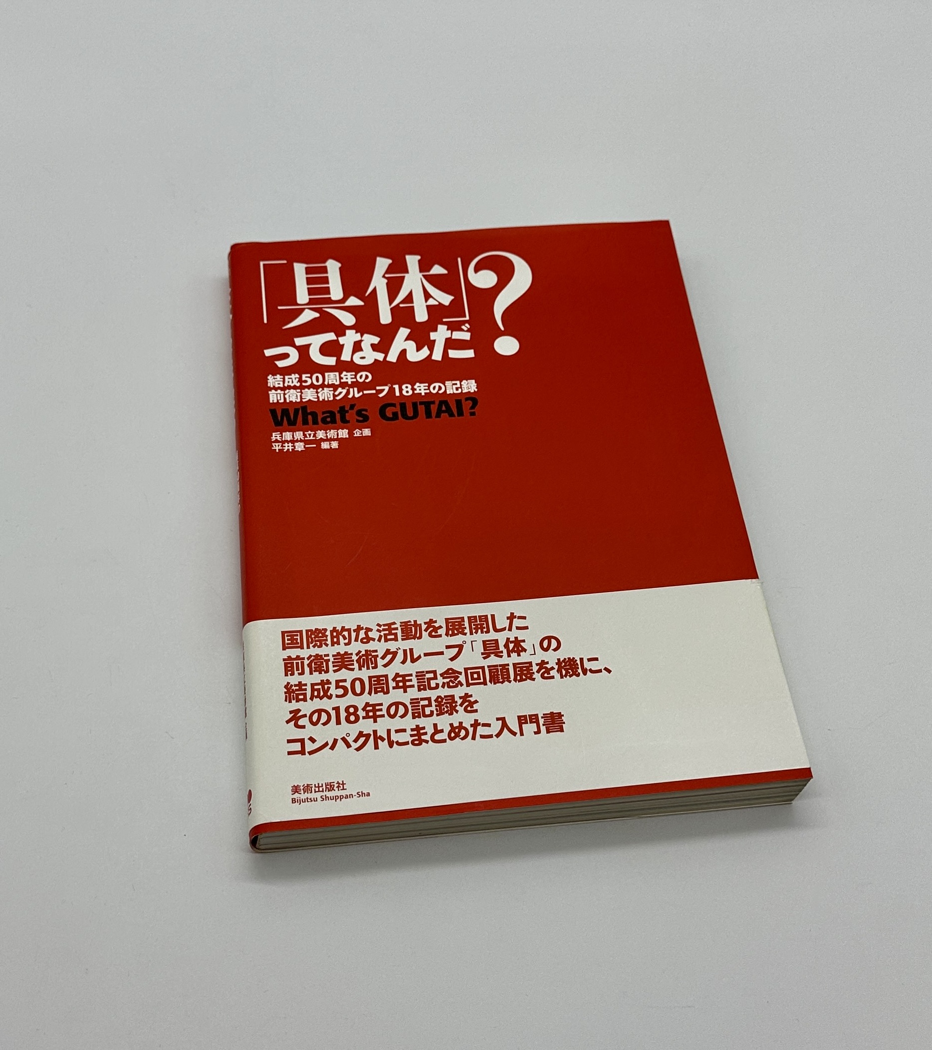 「具体」ってなんだ？　結成50周年の前衛美じゅつグループ18年の記録　What