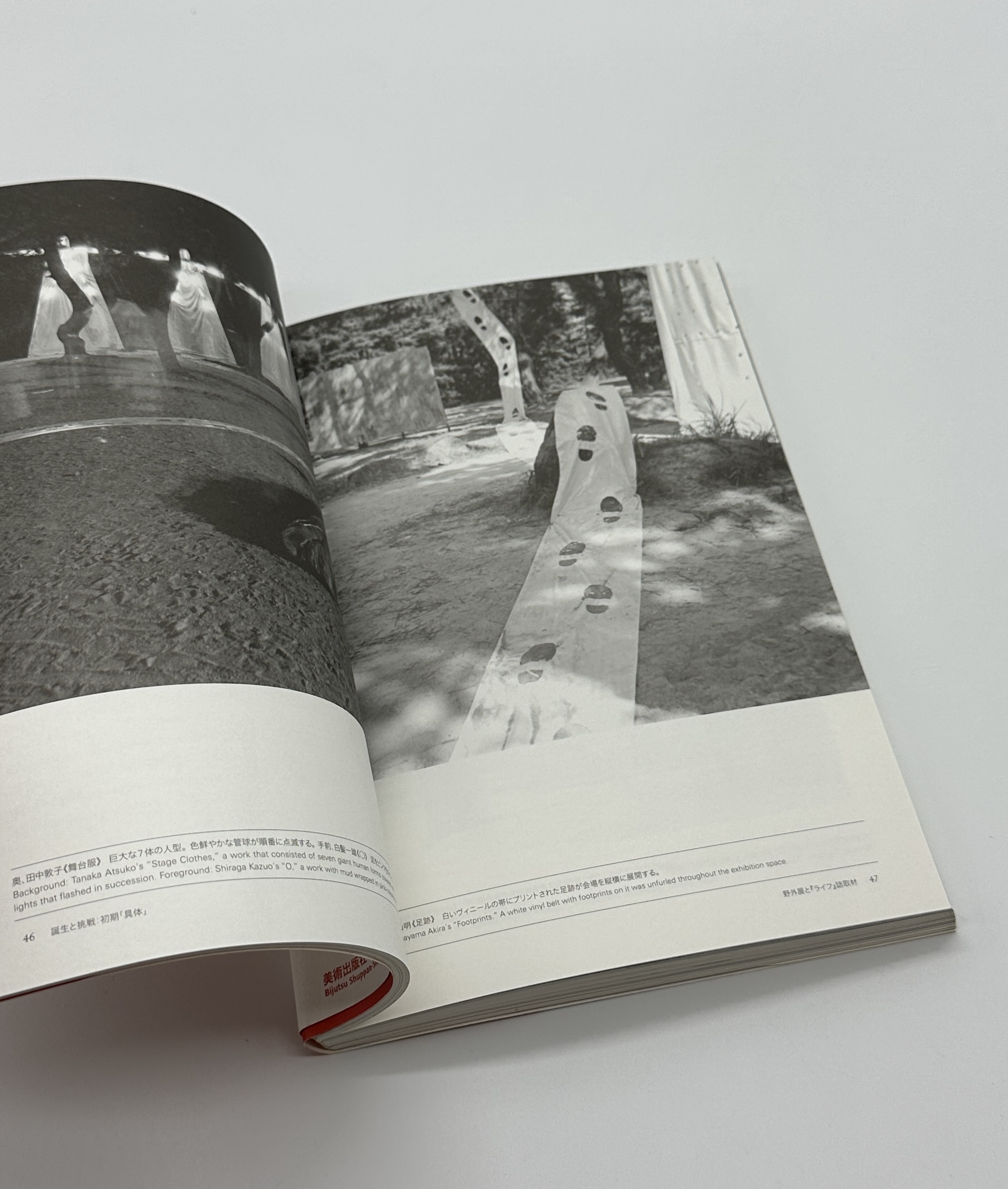 「具体」ってなんだ？　結成50周年の前衛美じゅつグループ18年の記録　What